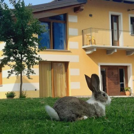 Agriturismo Fior Di Campo โดรเนโร ภายนอก รูปภาพ
