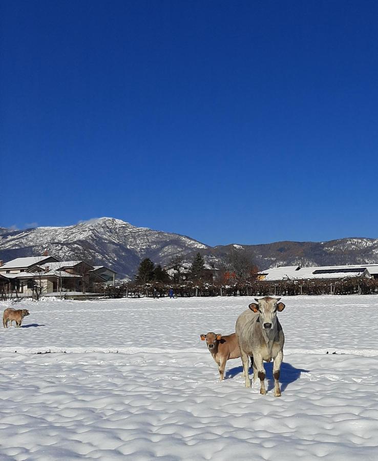 Agriturismo Fior Di Campo โดรเนโร ภายนอก รูปภาพ