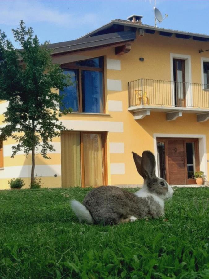Agriturismo Fior Di Campo โดรเนโร ภายนอก รูปภาพ