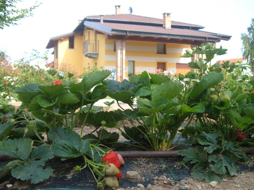 Agriturismo Fior Di Campo โดรเนโร ภายนอก รูปภาพ