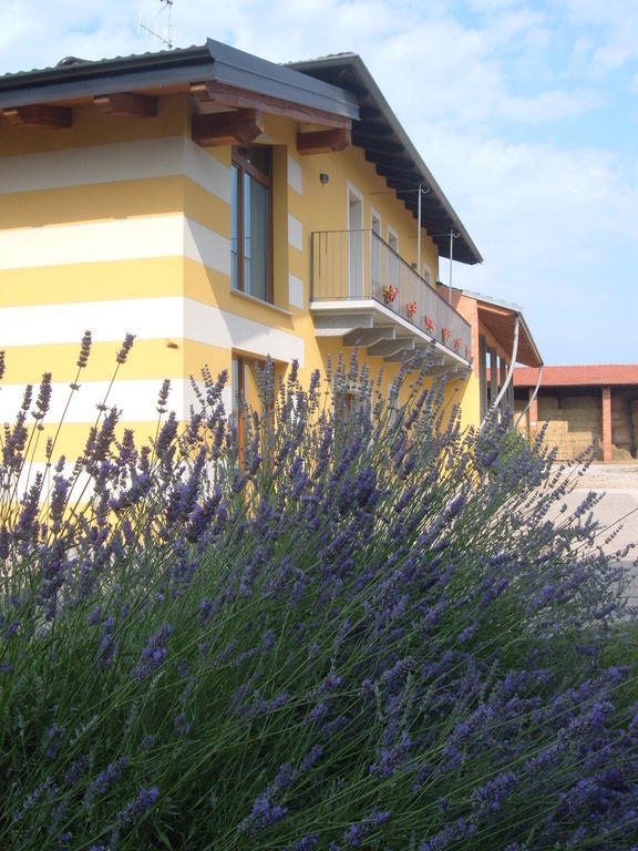 Agriturismo Fior Di Campo โดรเนโร ภายนอก รูปภาพ